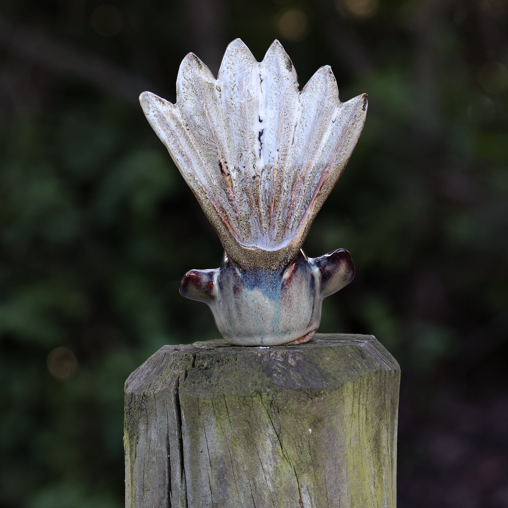 Pīwakawaka | Fantail