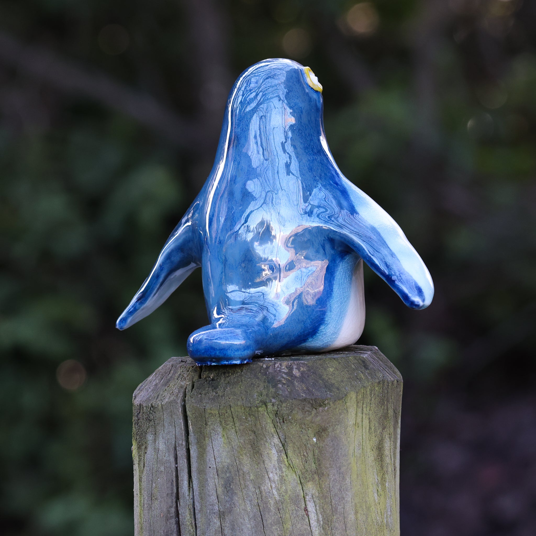 Kororā | Little Blue Penguin
