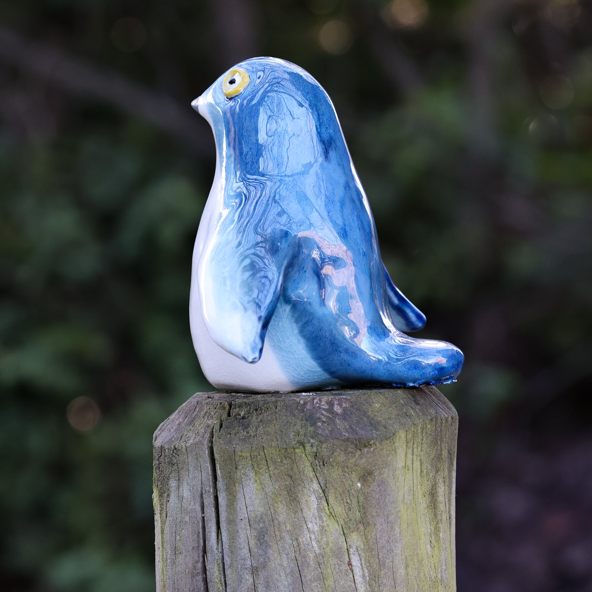 Kororā | Little Blue Penguin