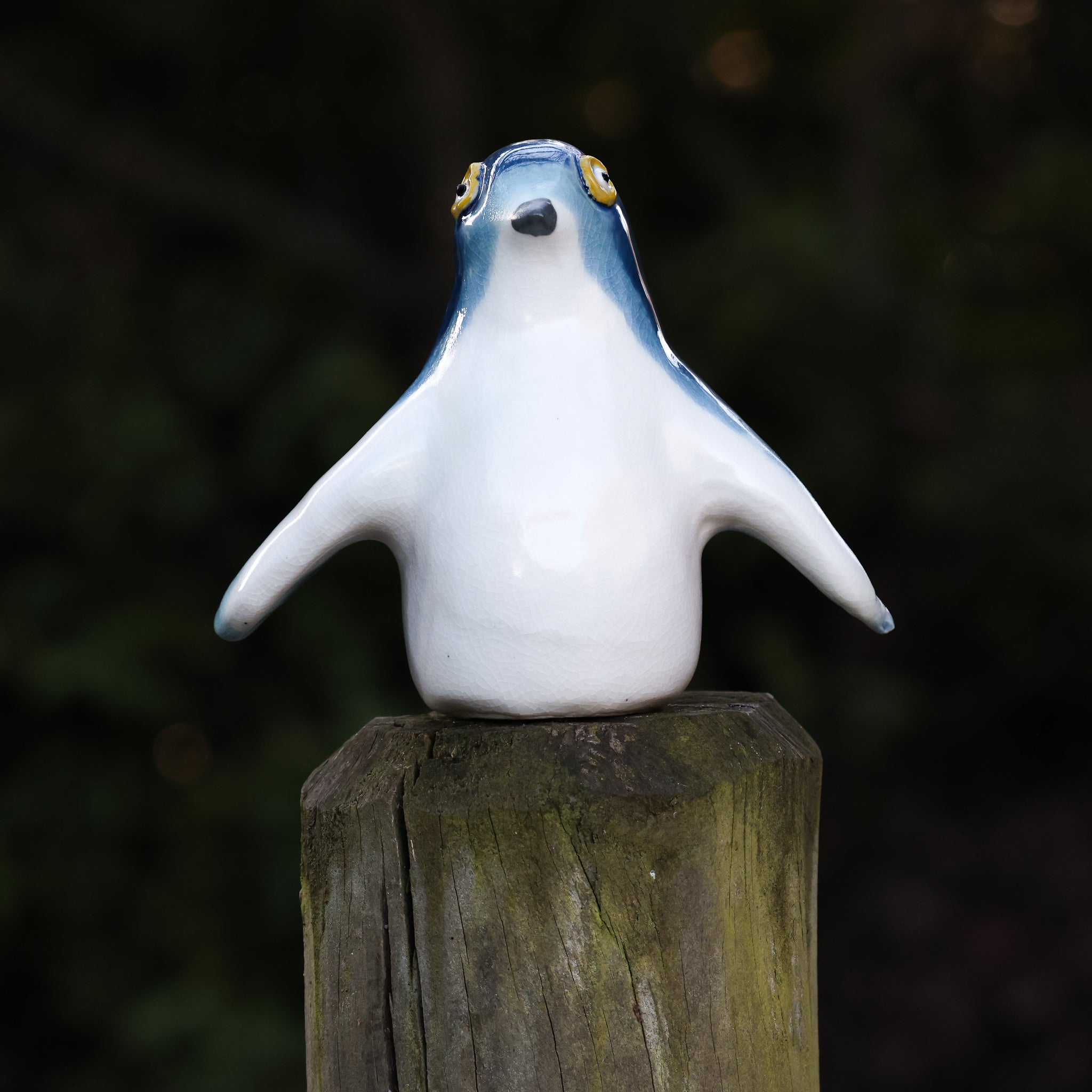 Kororā | Little Blue Penguin