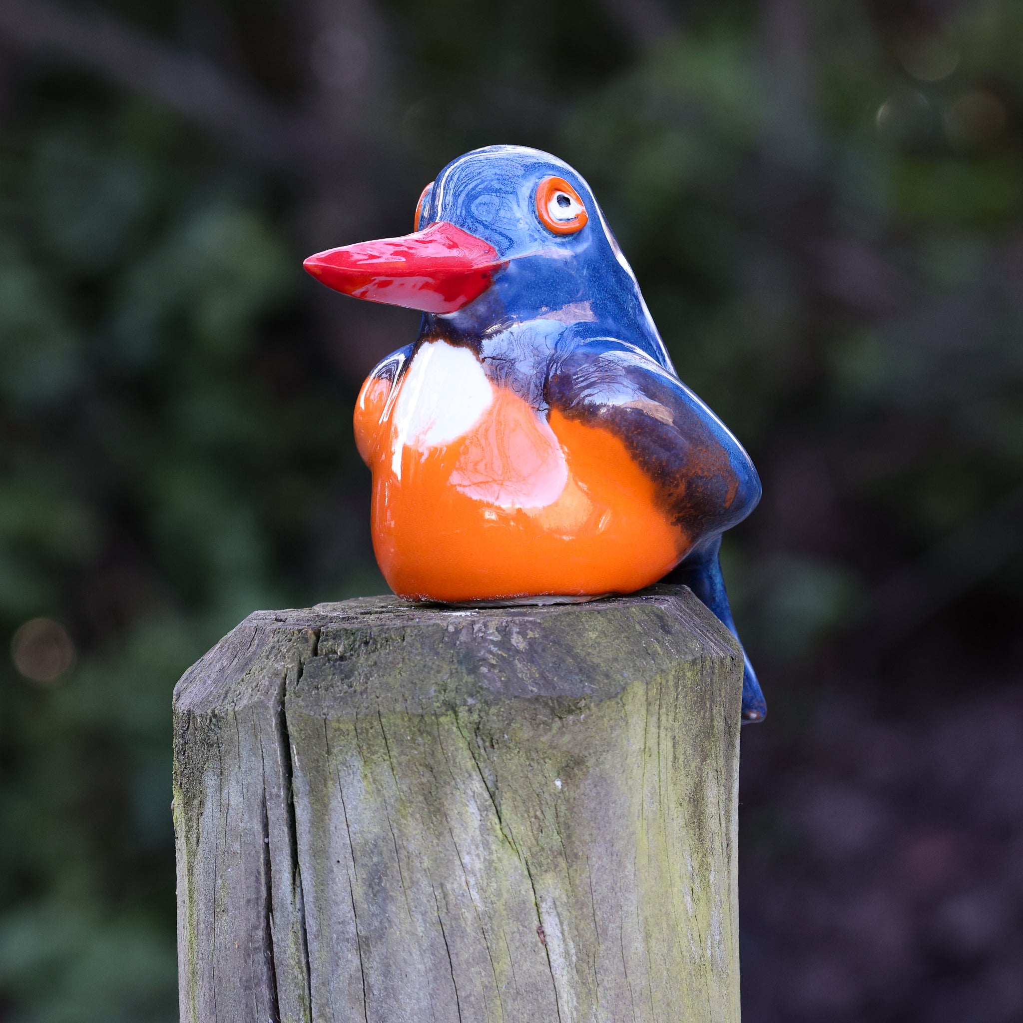 Malachite Kingfisher