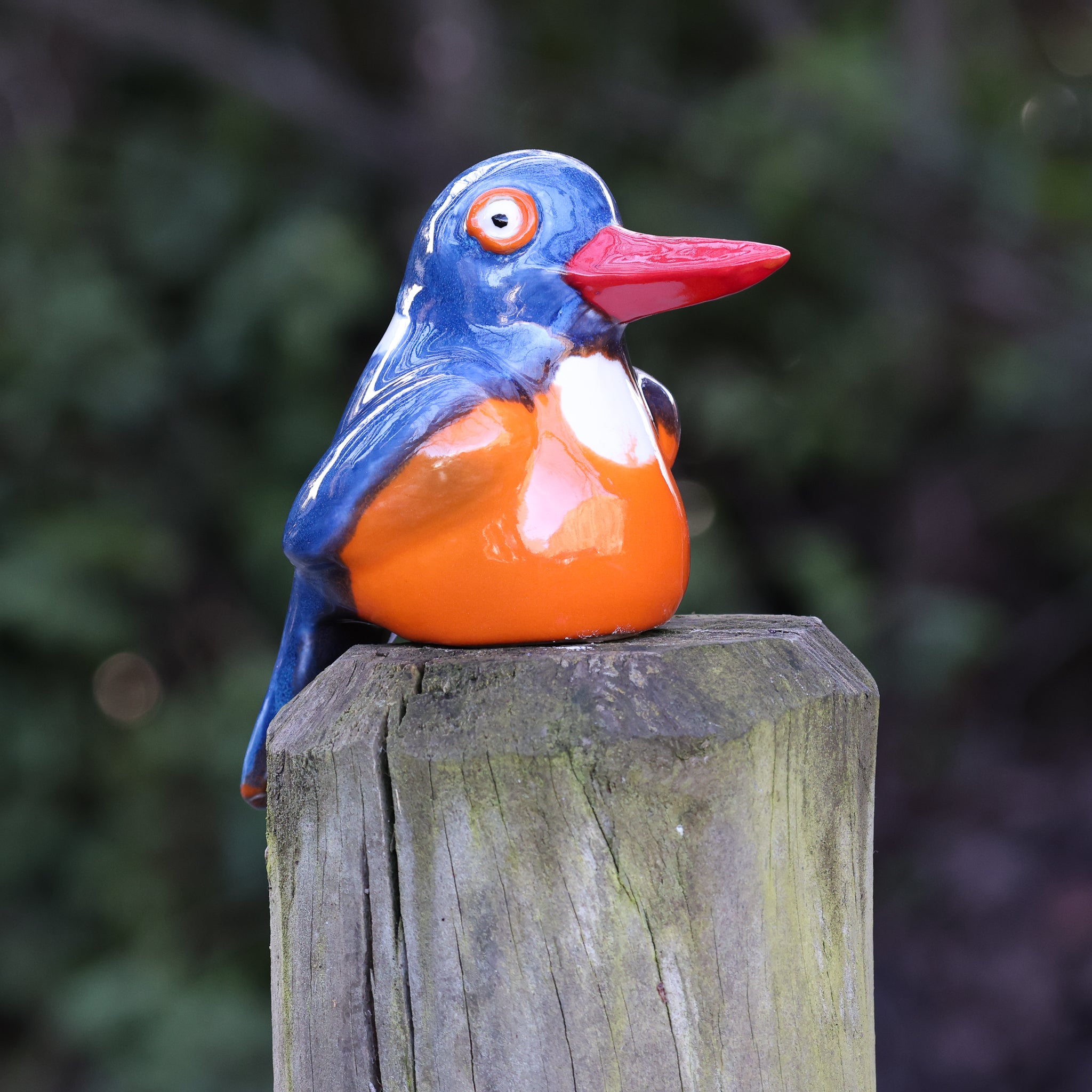 Malachite Kingfisher