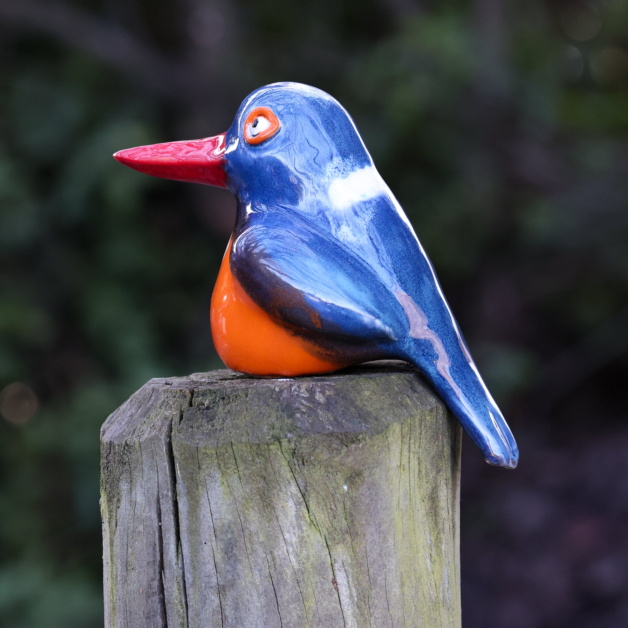 Malachite Kingfisher