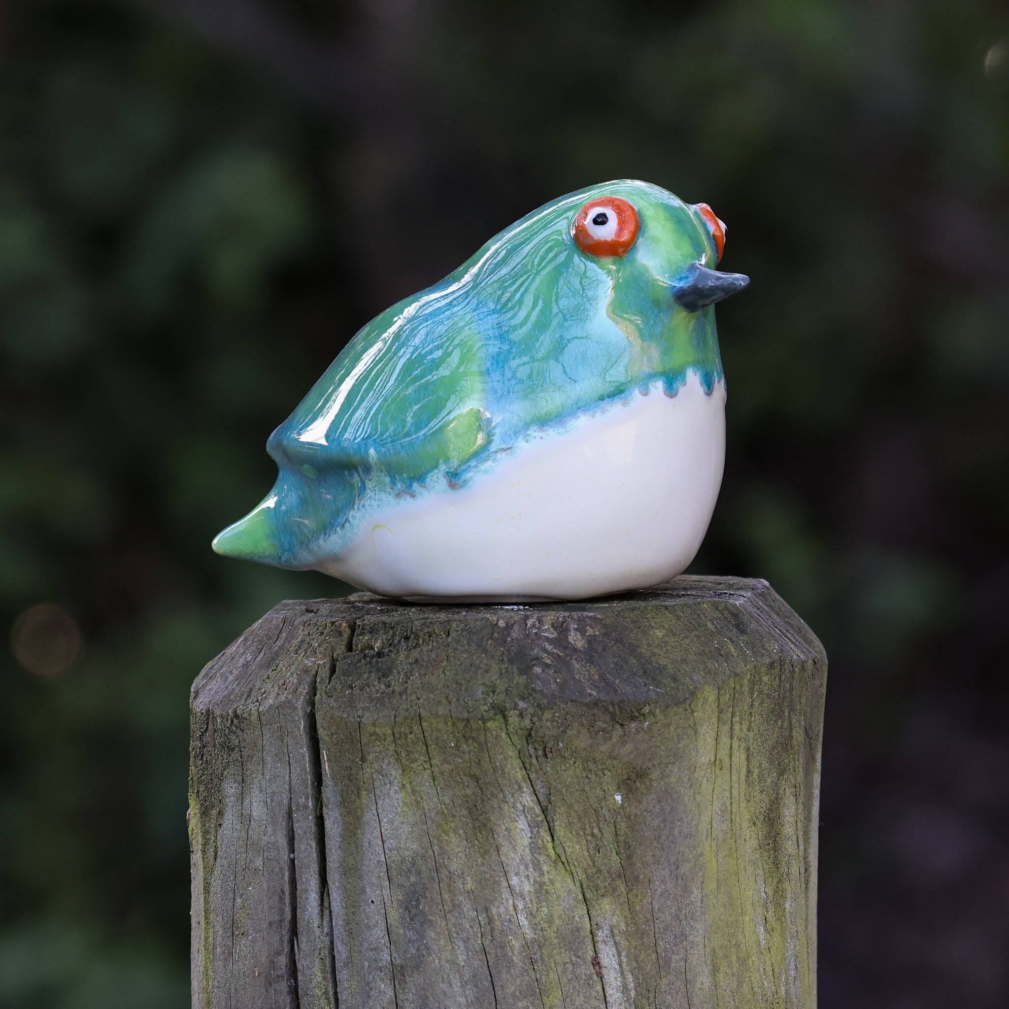Tītitipounamu | Rifleman