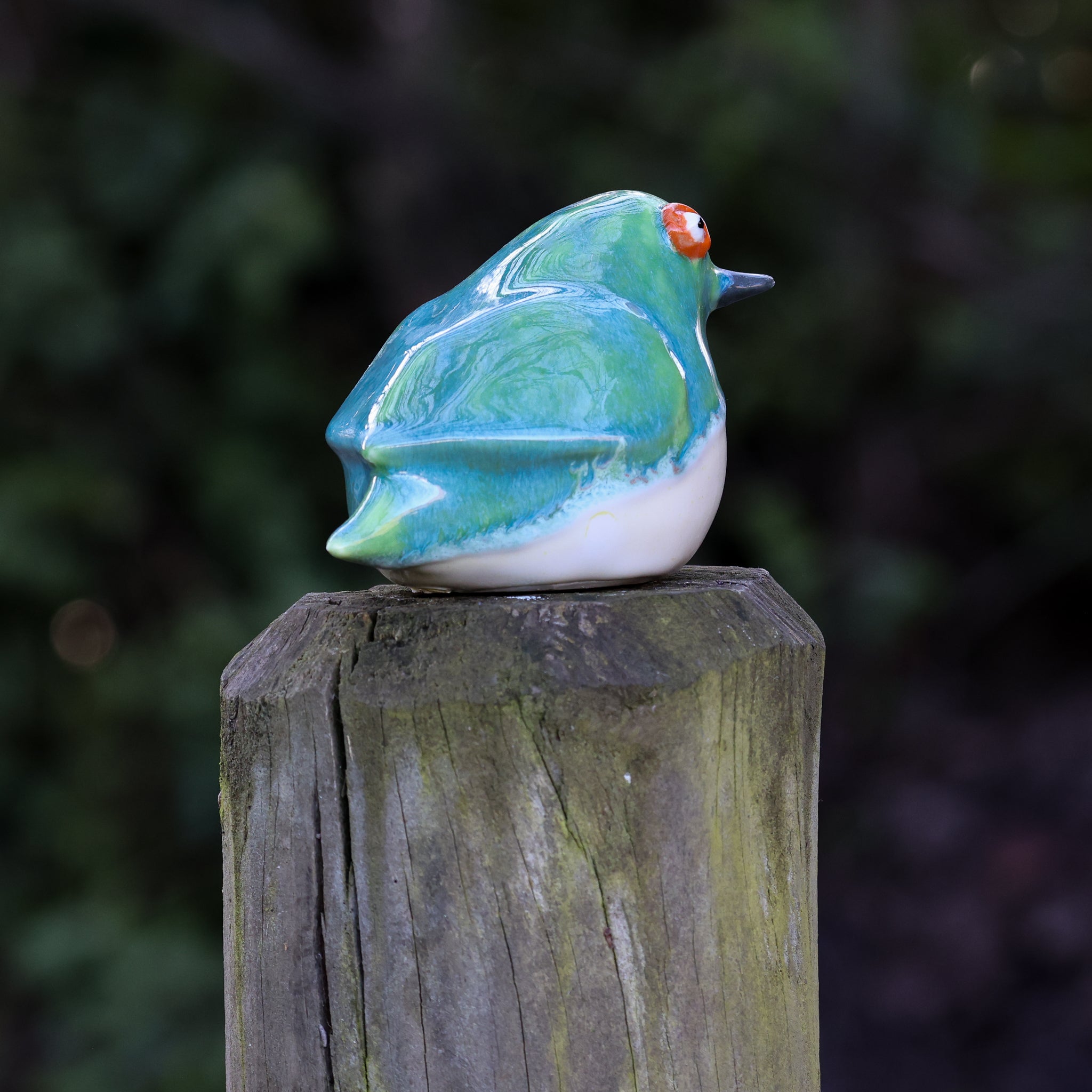 Tītitipounamu | Rifleman