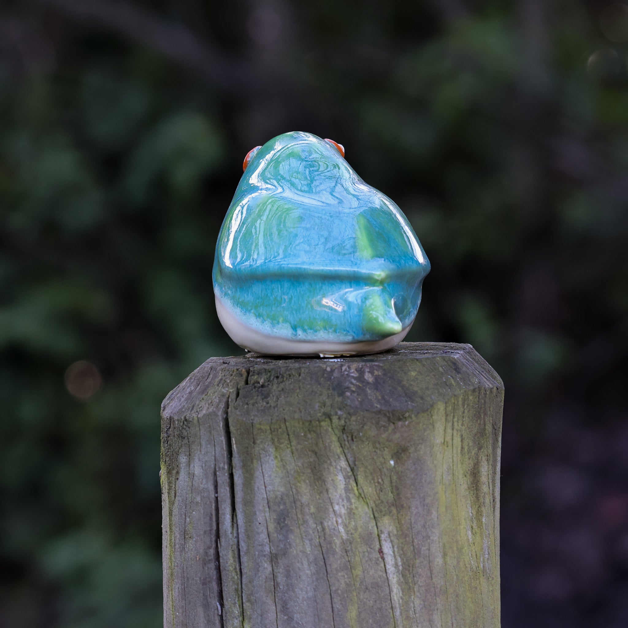 Tītitipounamu | Rifleman