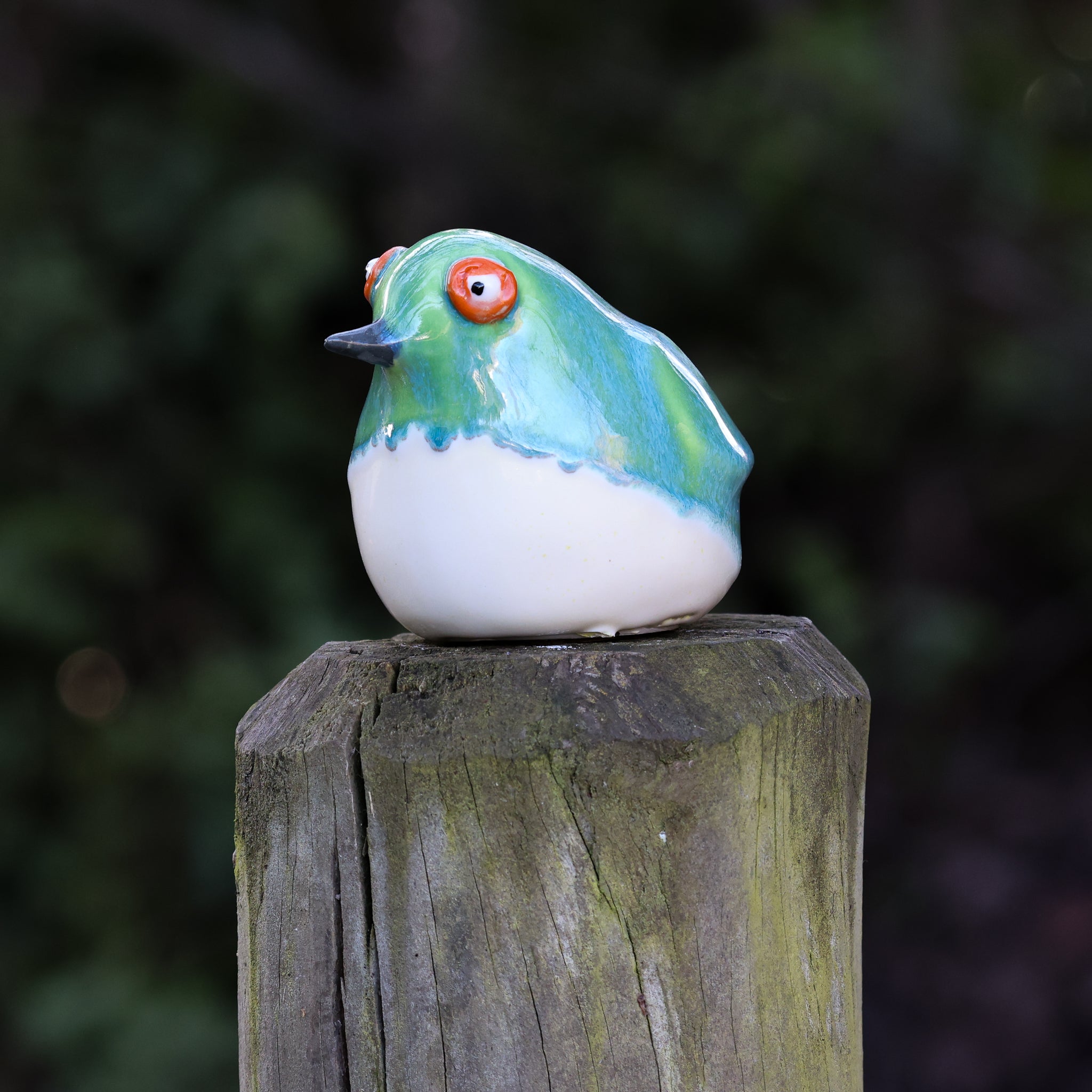 Tītitipounamu | Rifleman