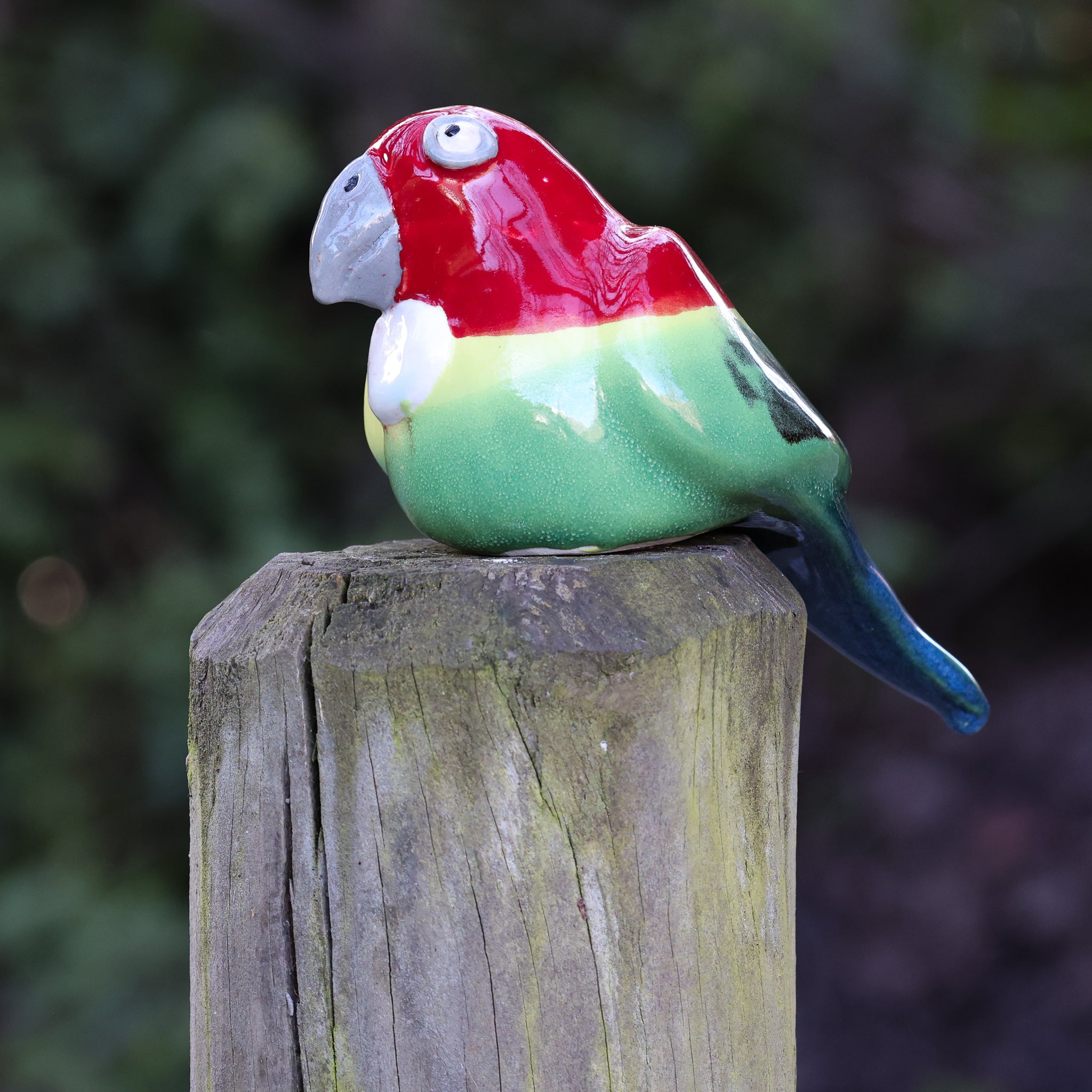 Eastern Rosella