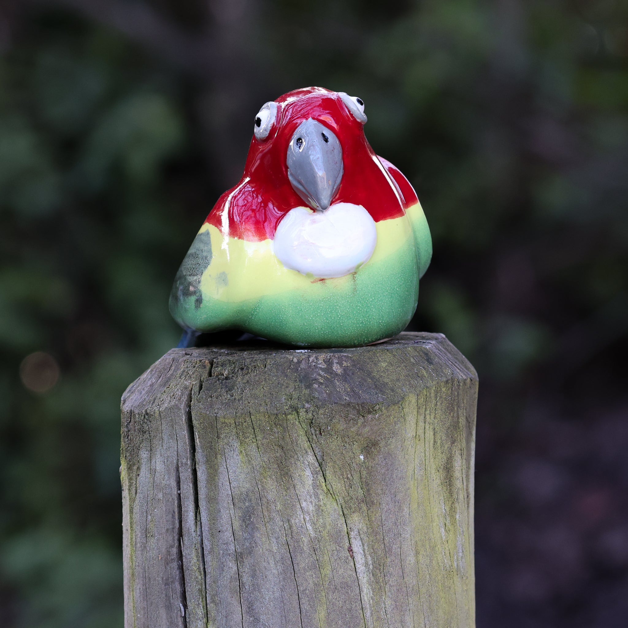 Eastern Rosella