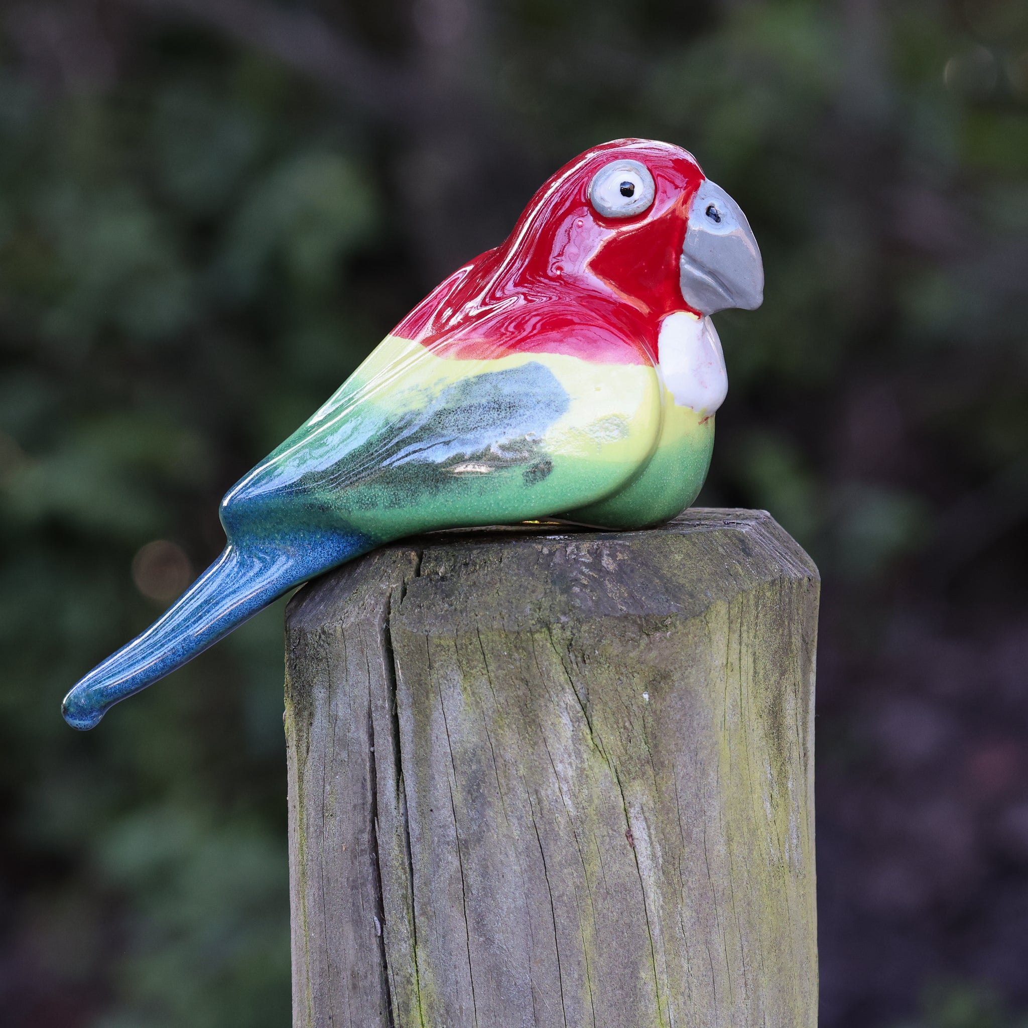 Eastern Rosella