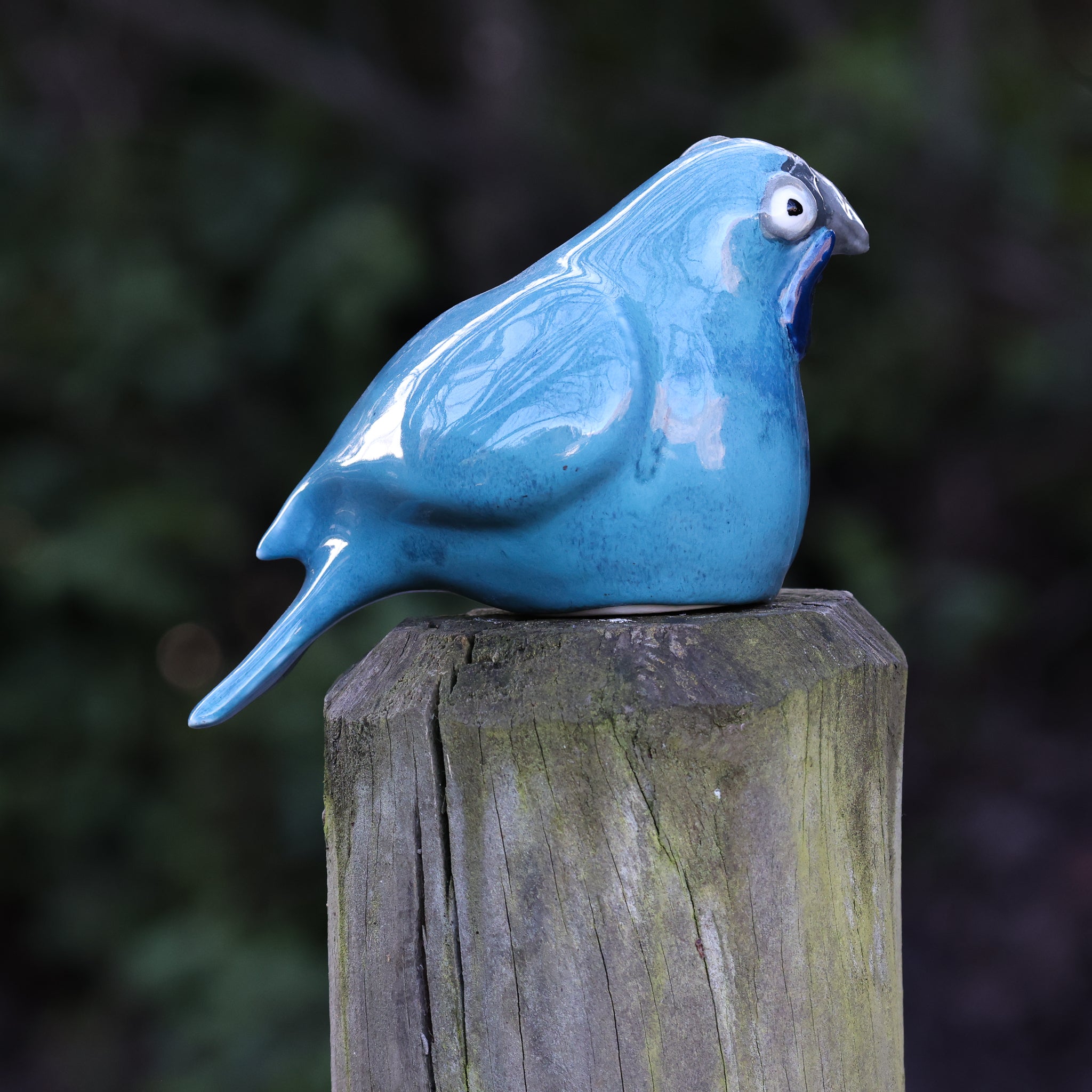 Kokako