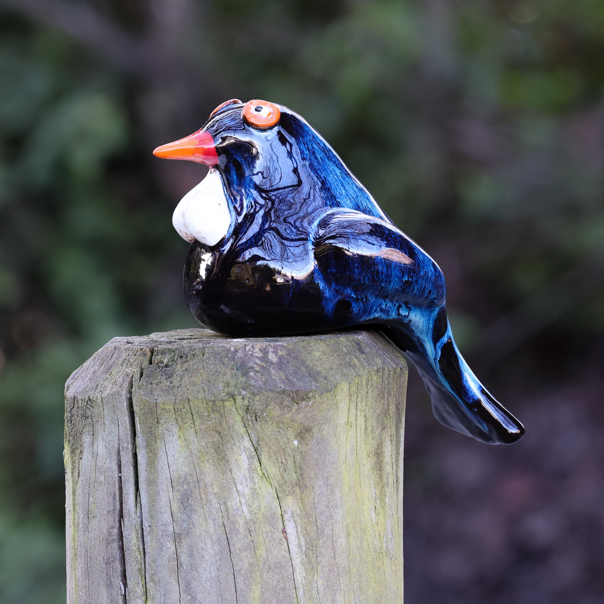 Tui
