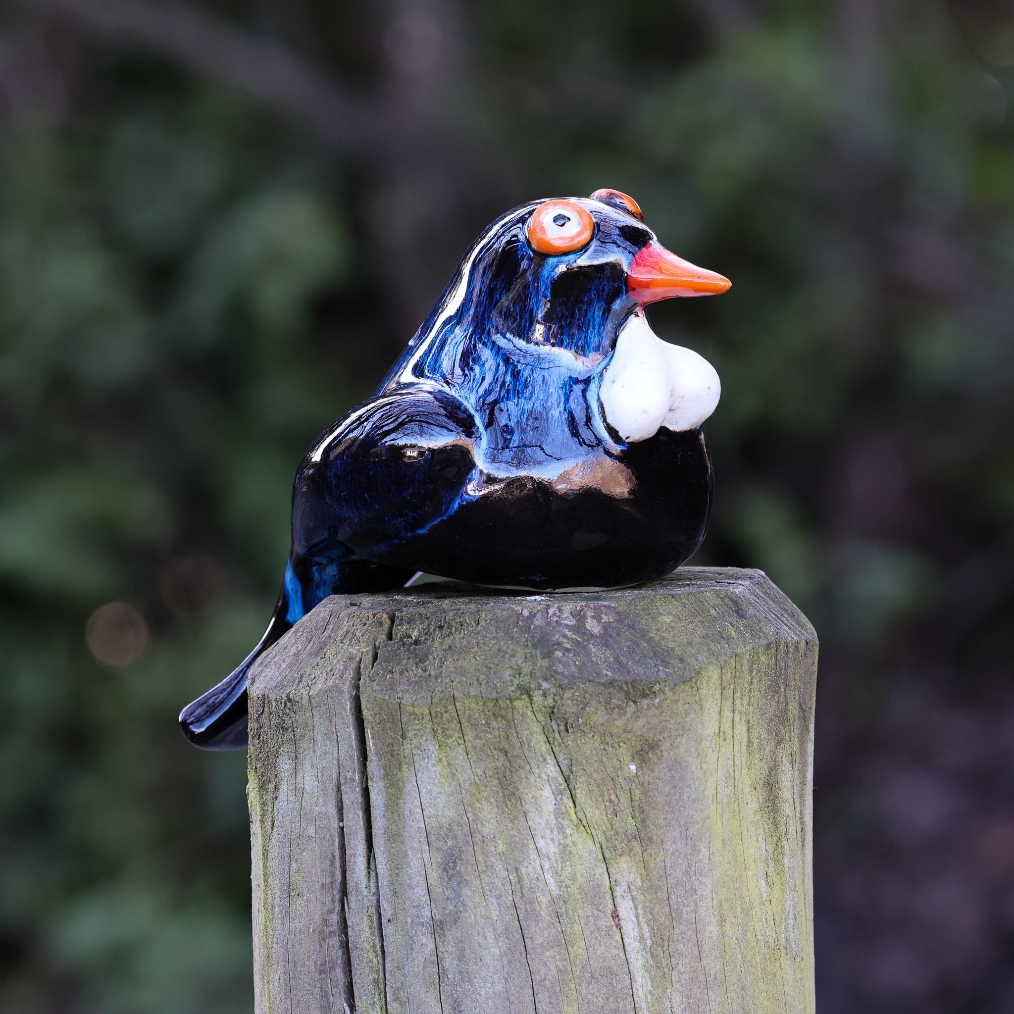 Tui