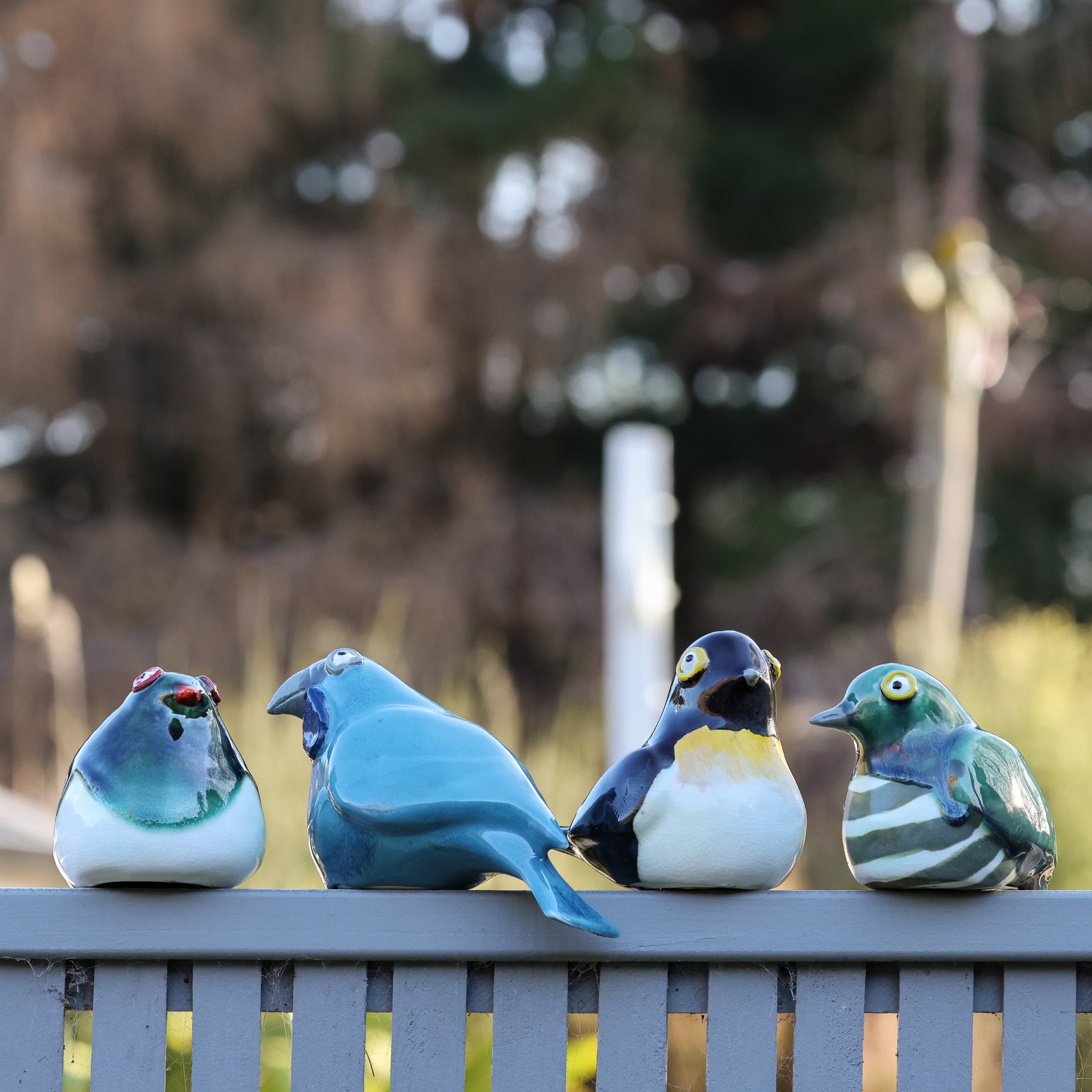 Miromiro | Tomtit