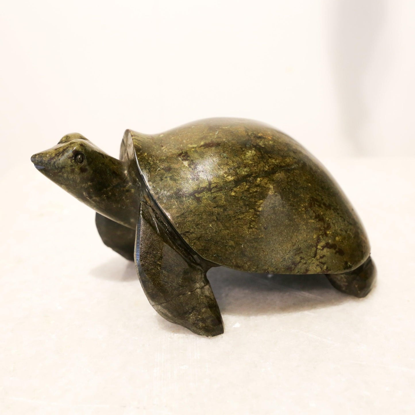 Stone Tortoise