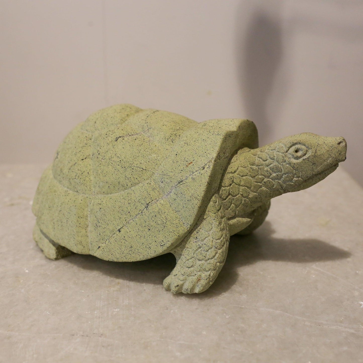 Stone Tortoise