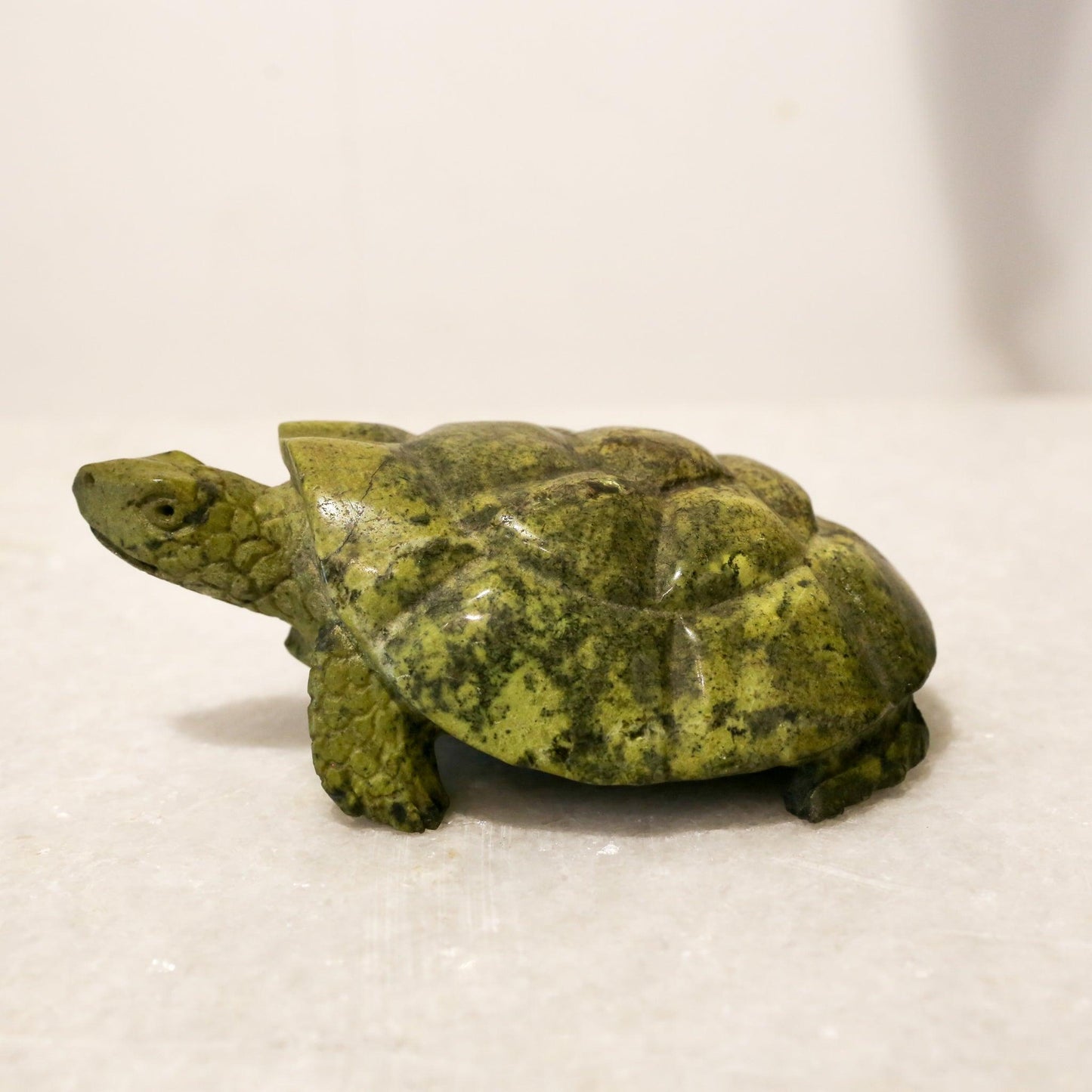 Stone Tortoise