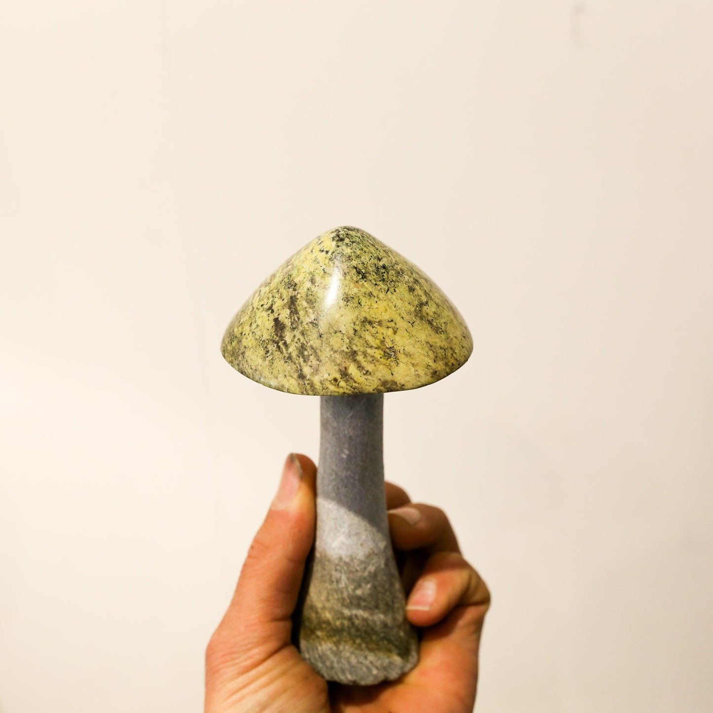 Stone Mushroom