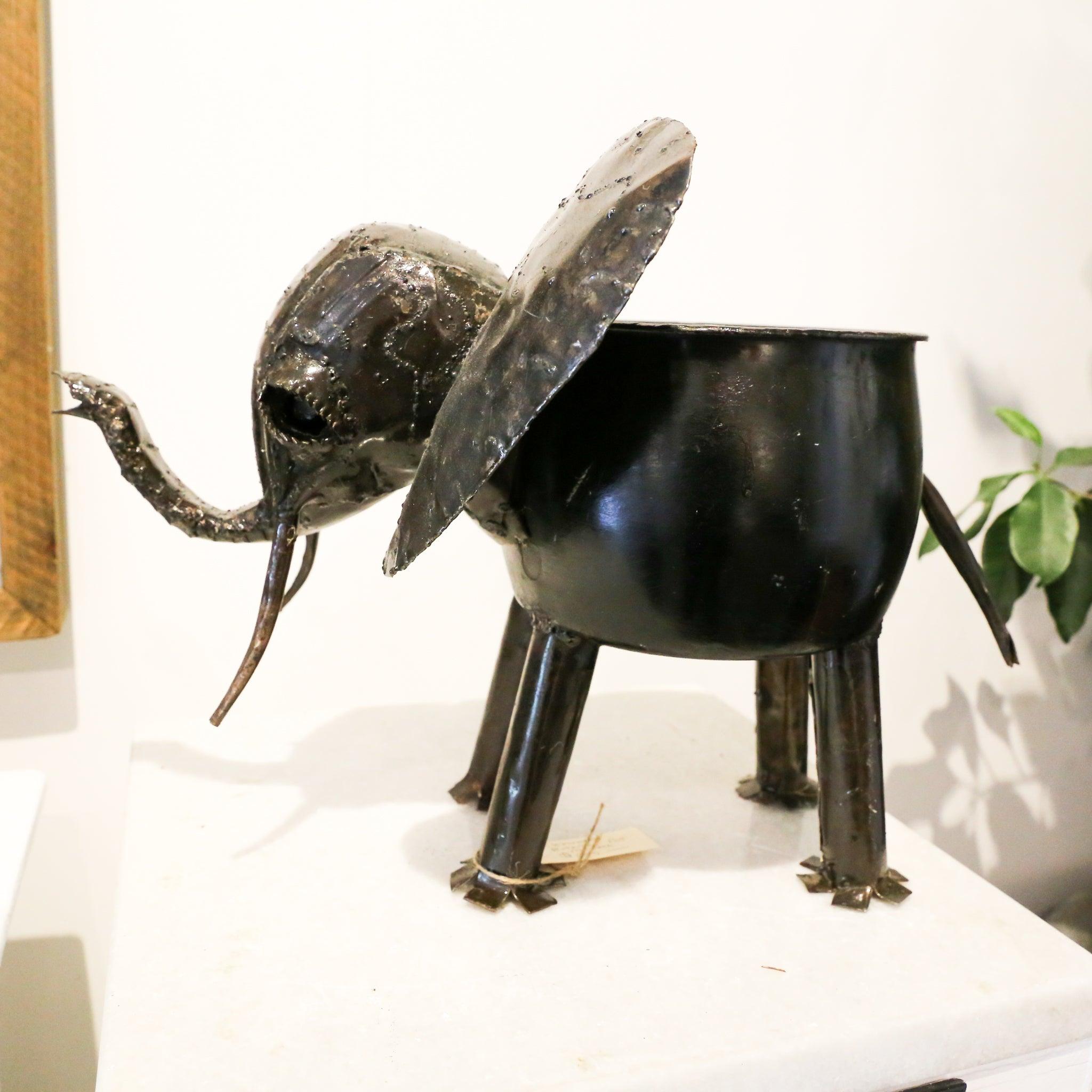 Elephant Pot Plant