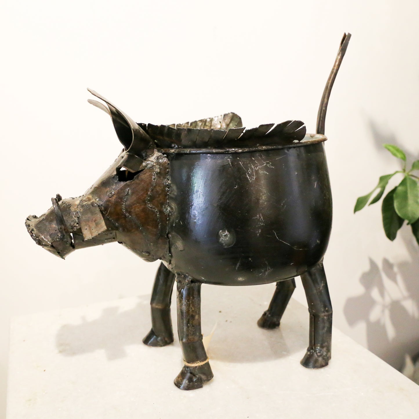 Warthog Plant Pot