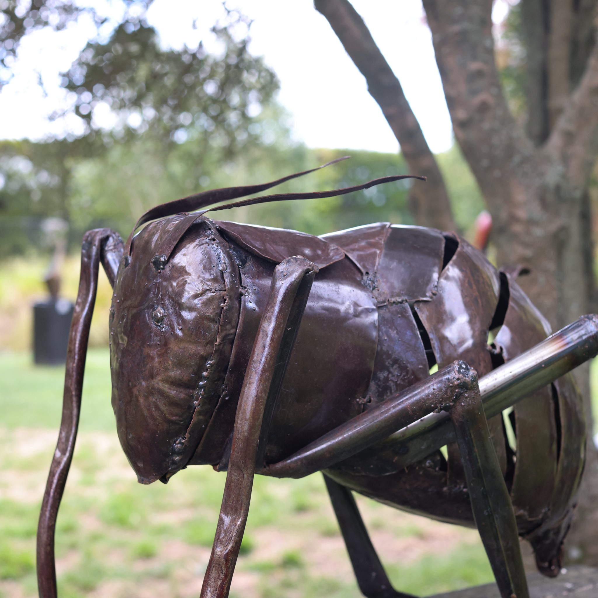 Birdwoods Large Grasshopper