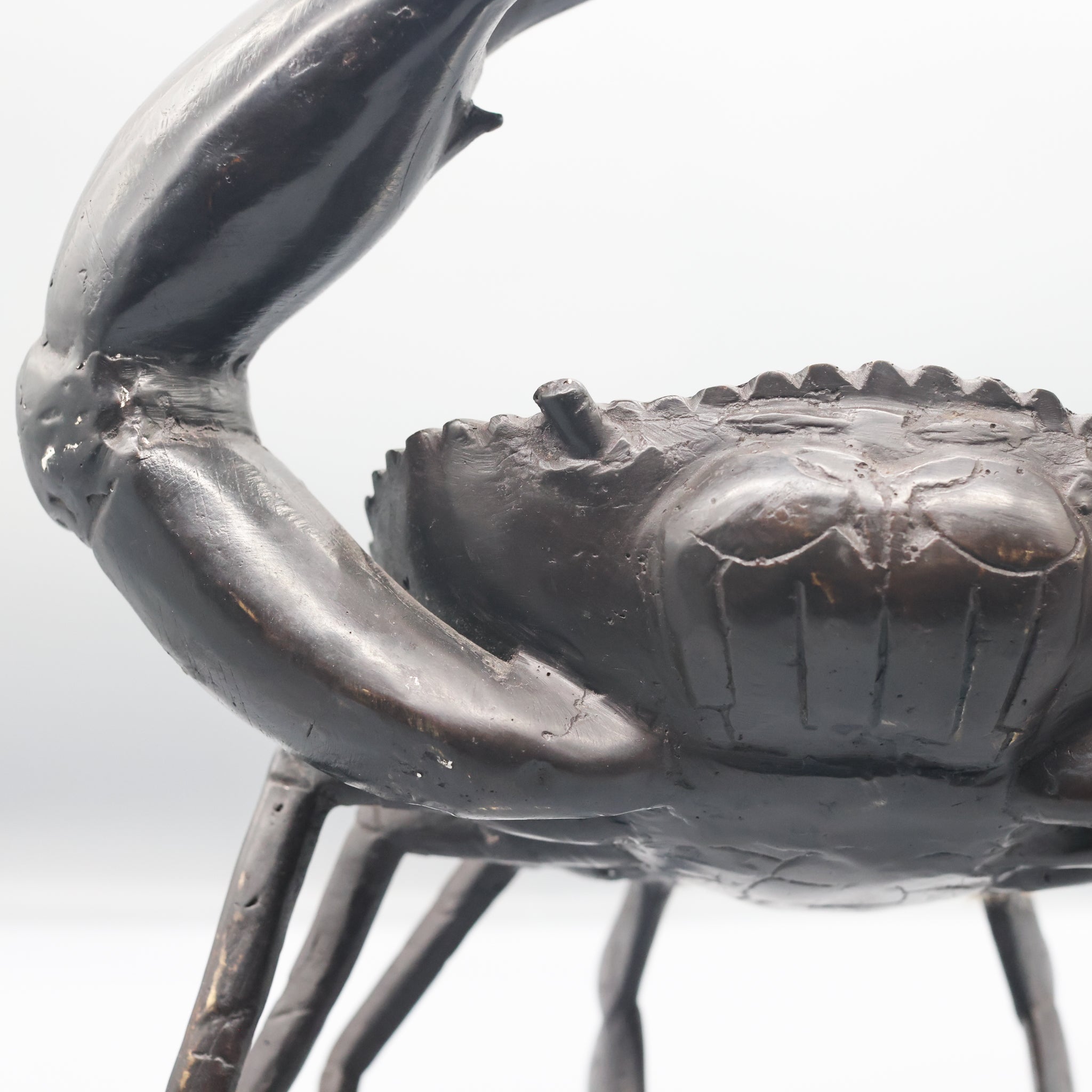 Bronze Crab