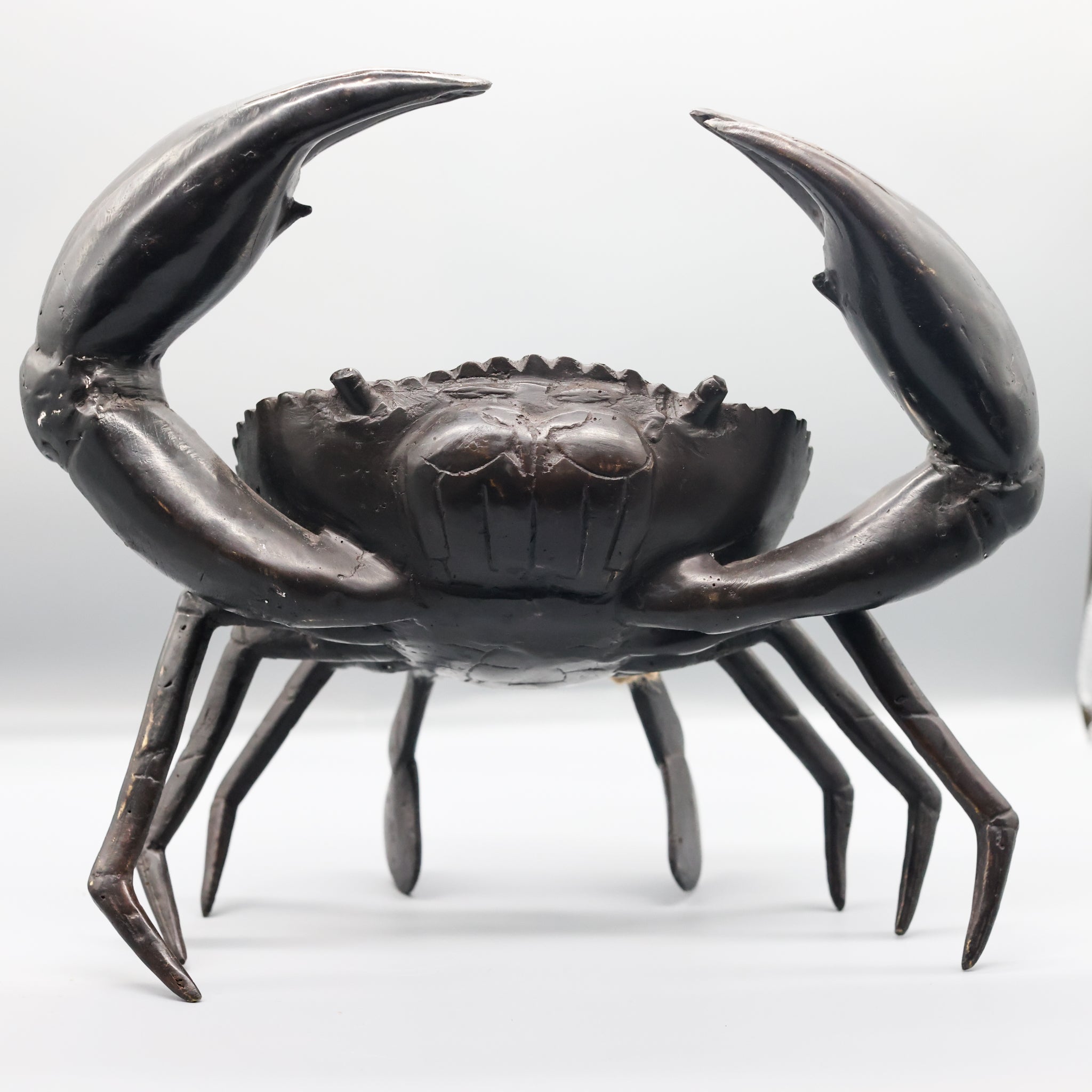 Bronze Crab