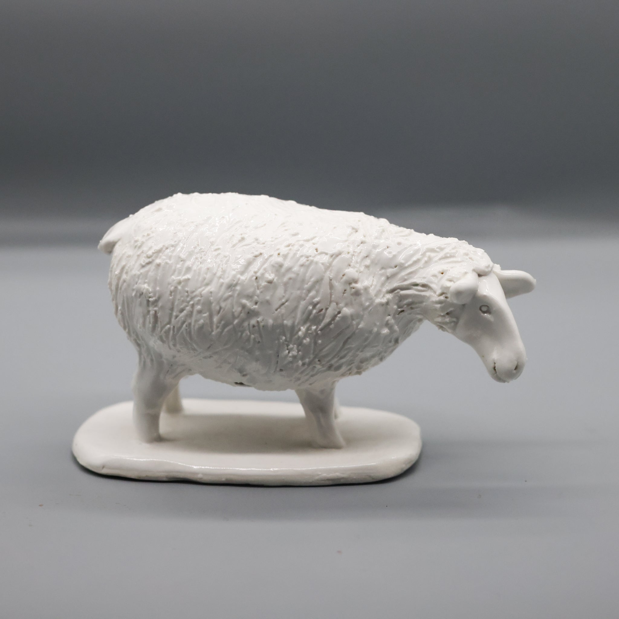 Standing Sheep