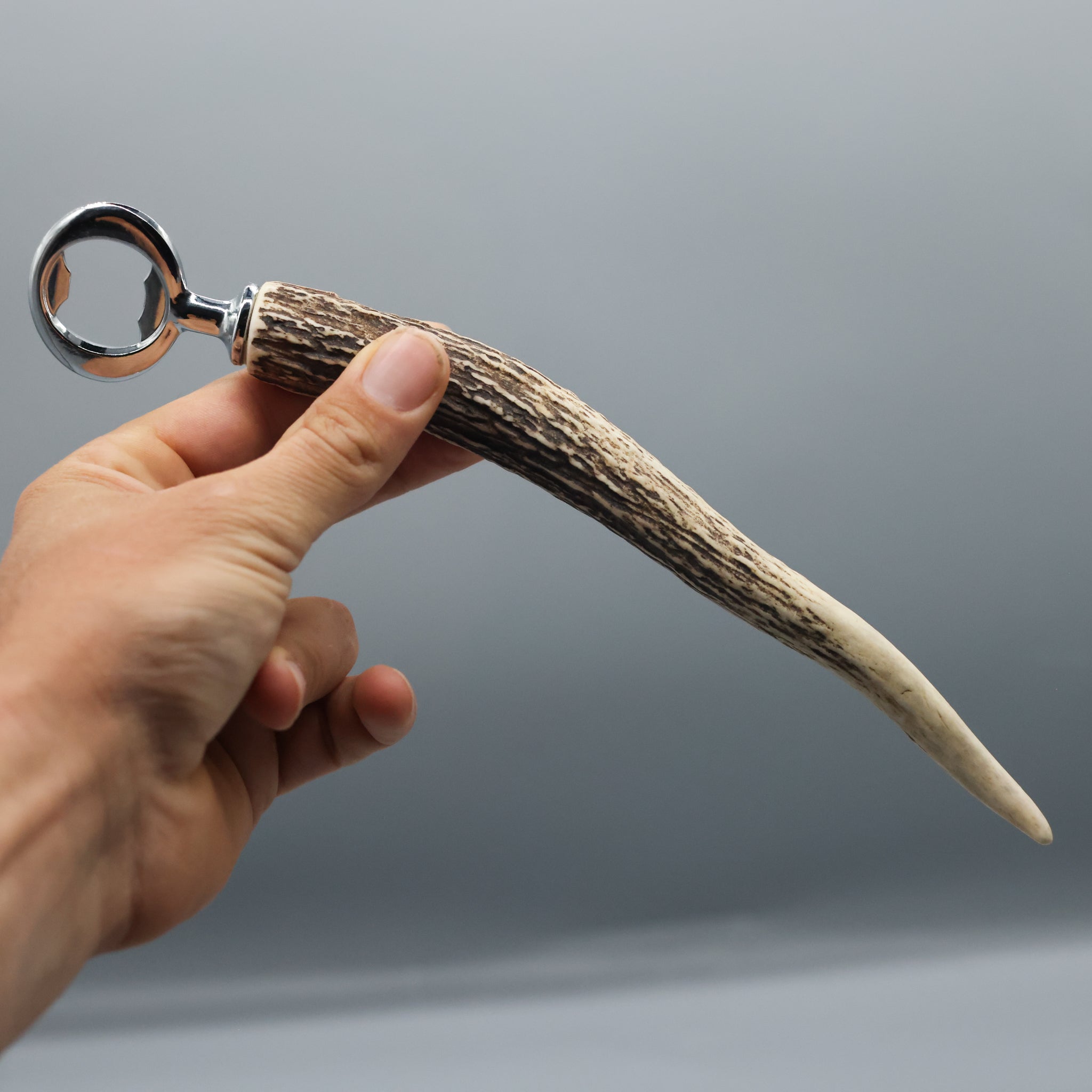 Deer Horn Bottle Opener