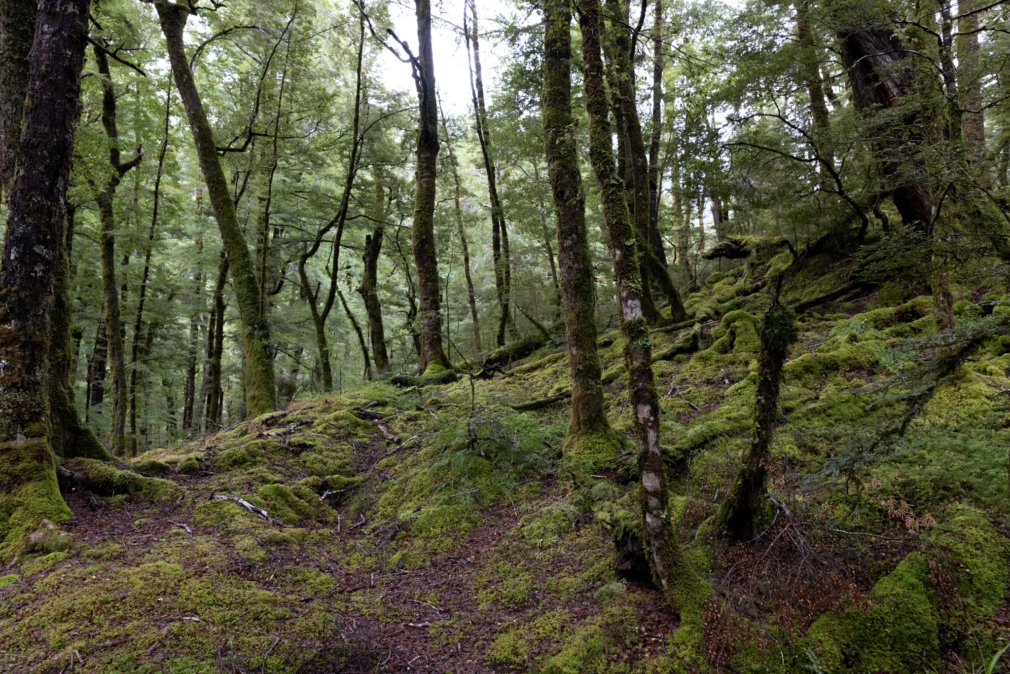 FINE ART PHOTOGRAPHY