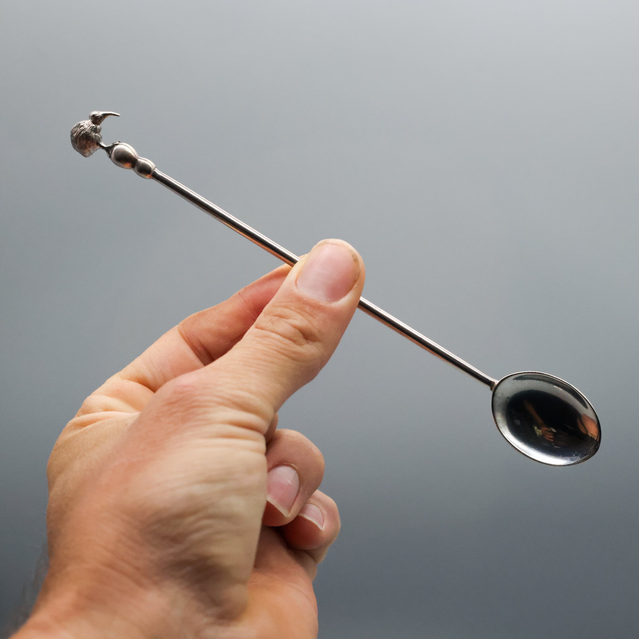 Silver Kiwi Teaspoons