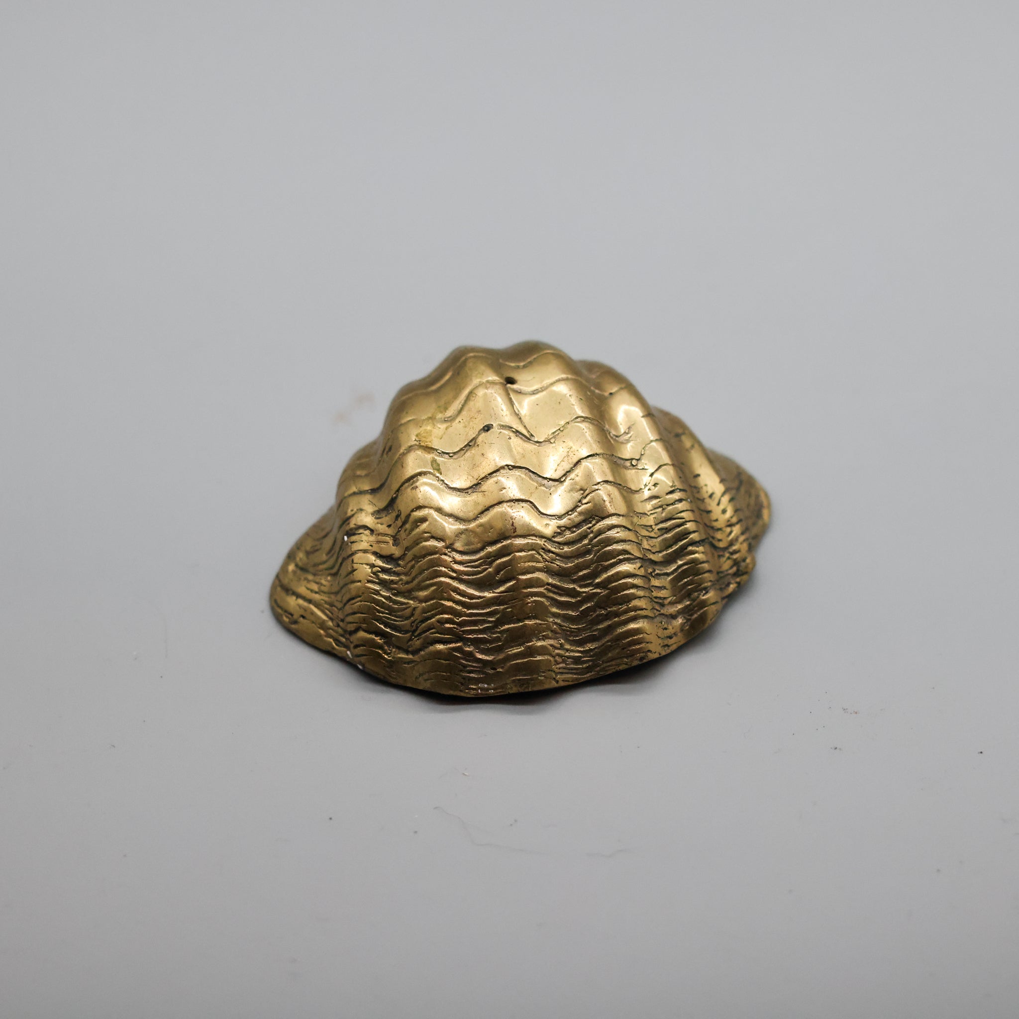 Bronze Shell