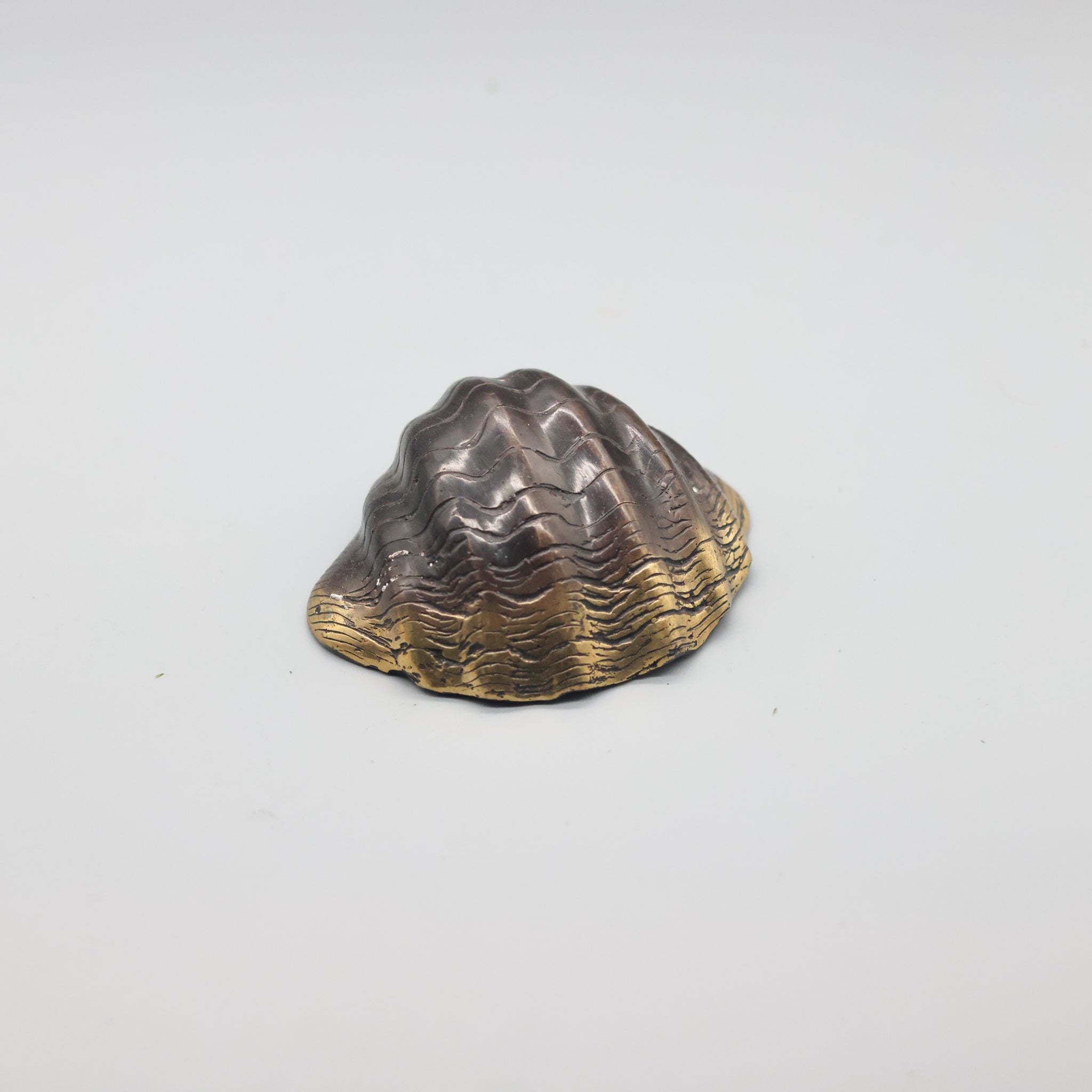 Bronze Shell