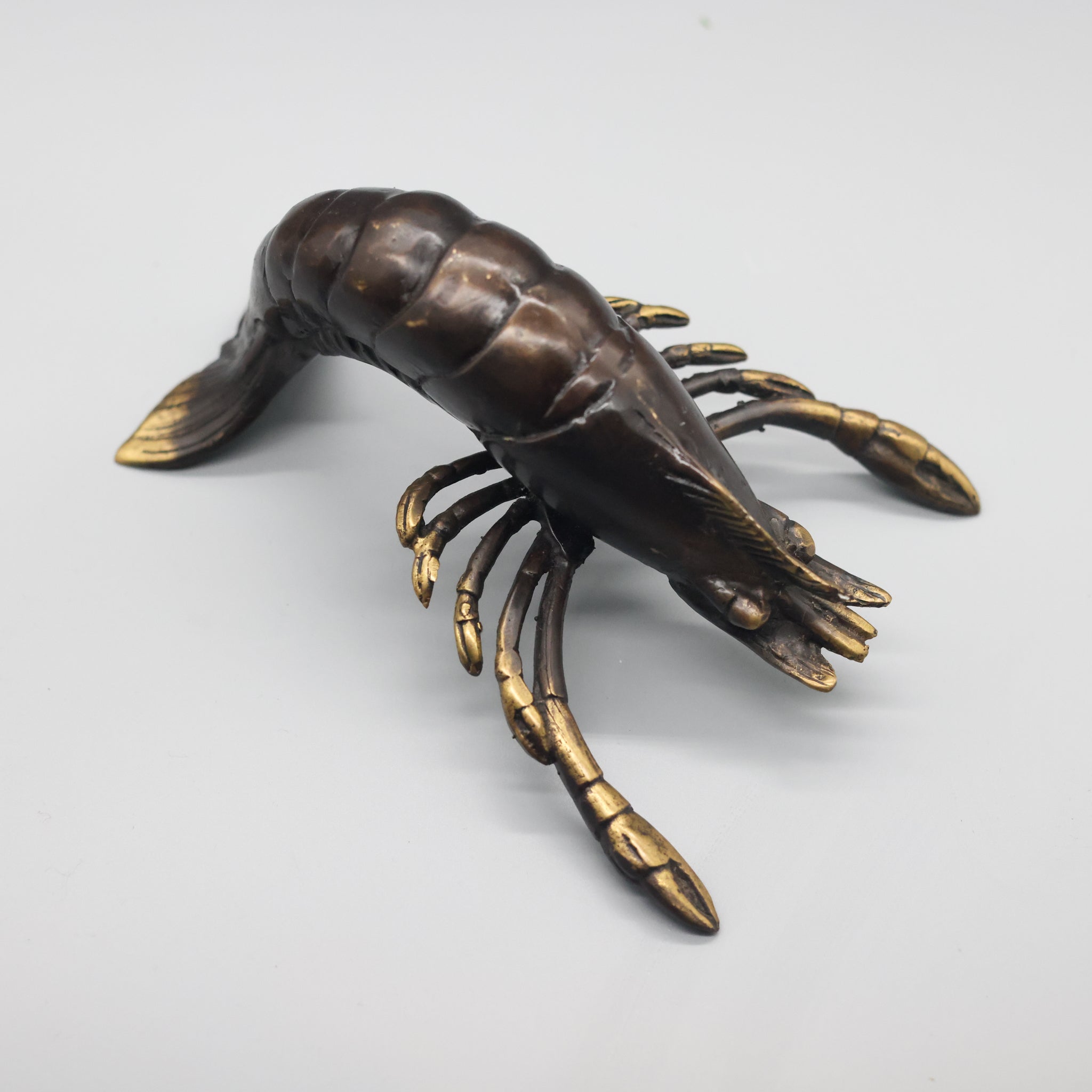 Bronze Shrimp