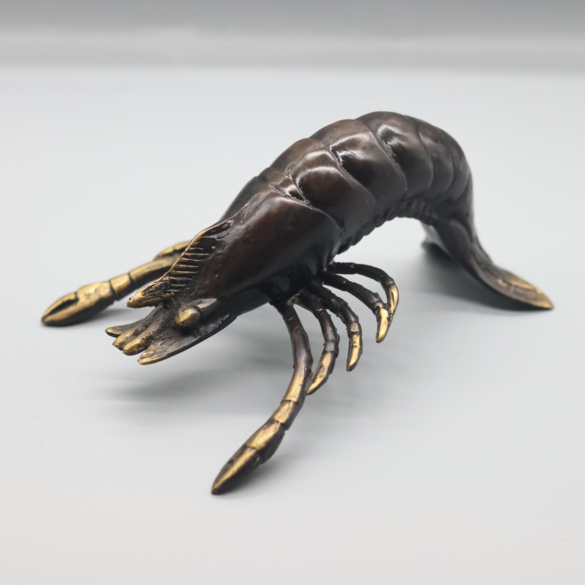 Bronze Shrimp