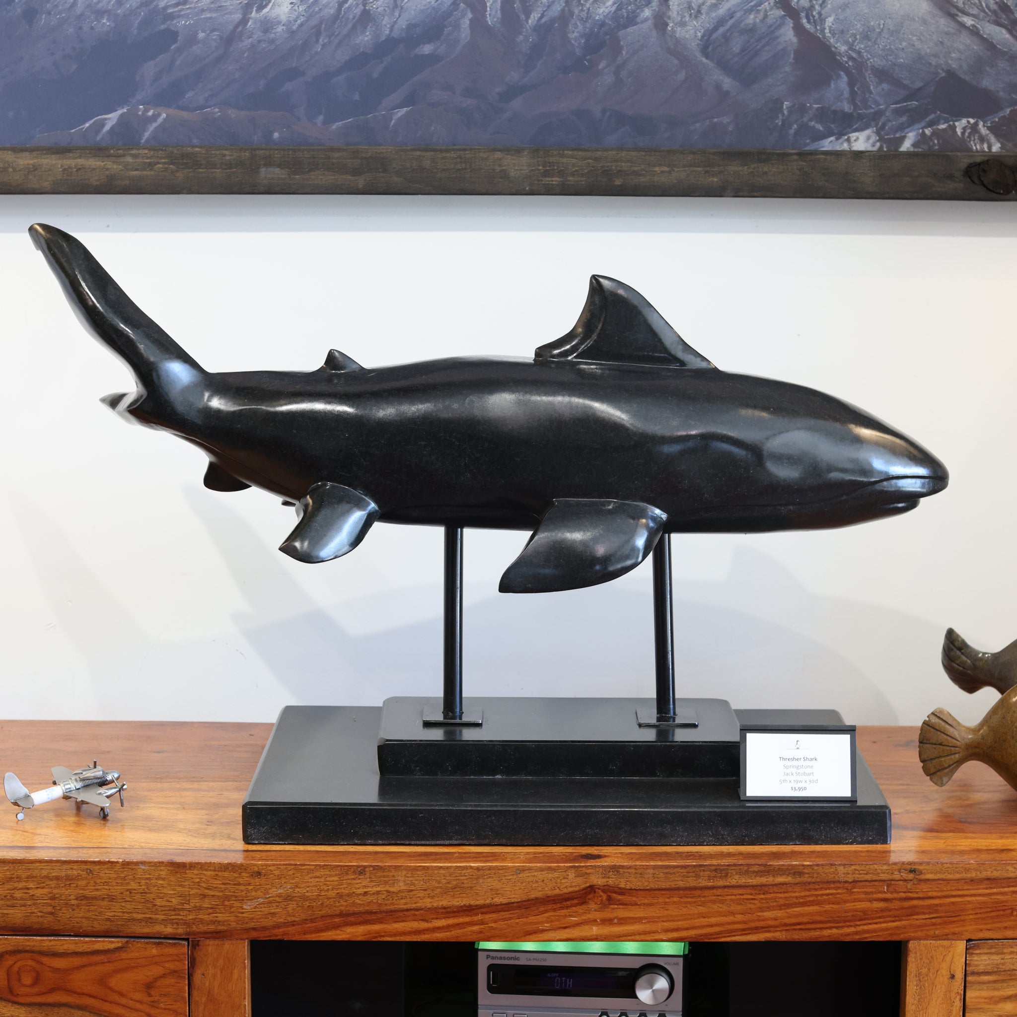 Thresher Shark
