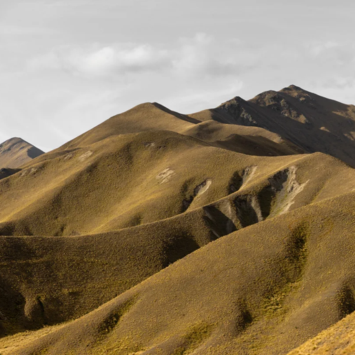 Fine Art Photography