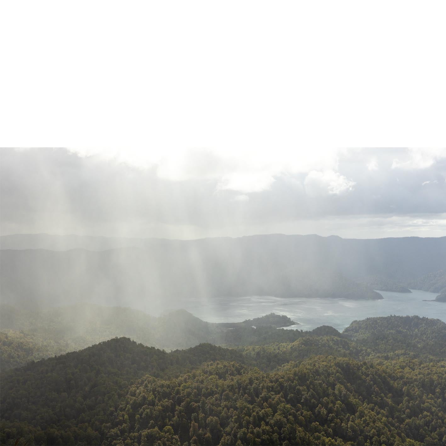 Summer Showers