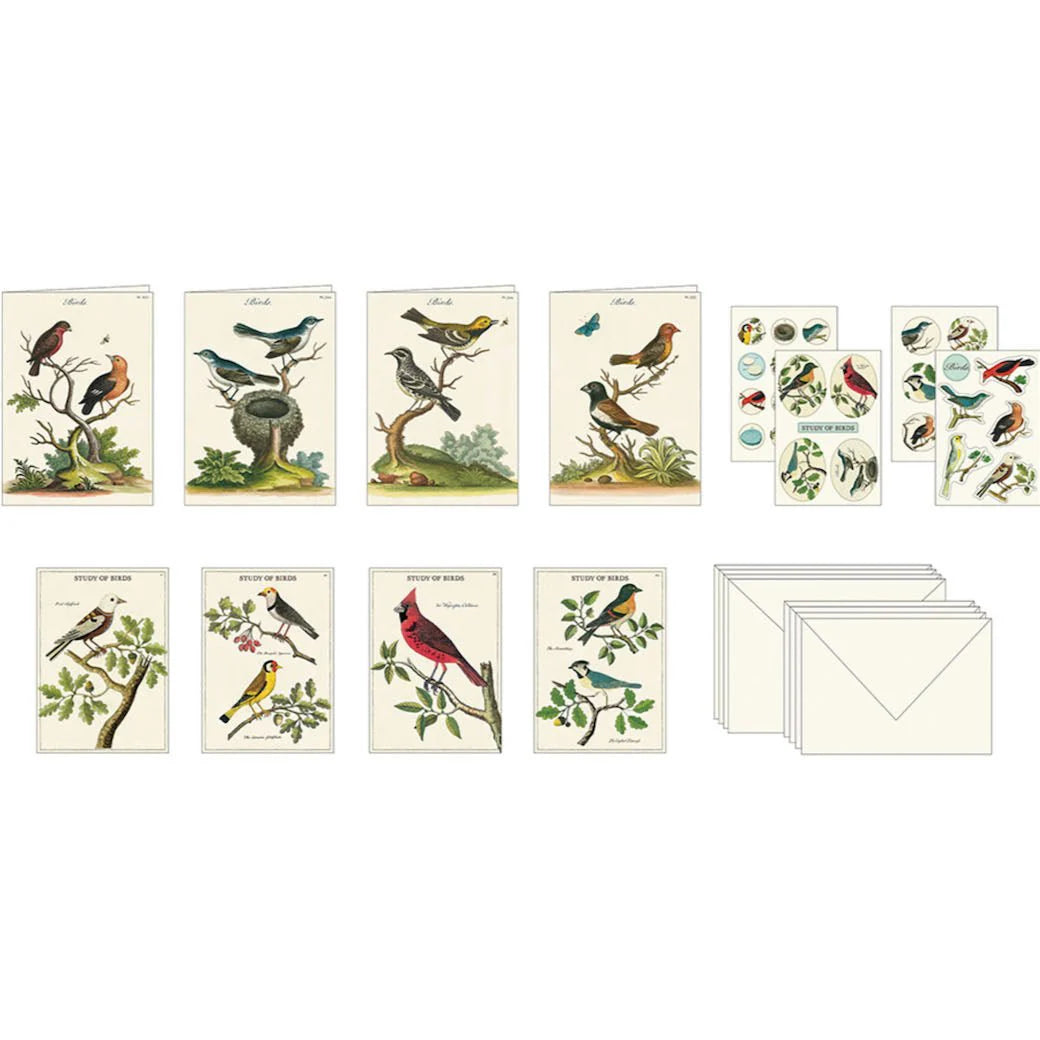 Stationary Set - Study Of Birds