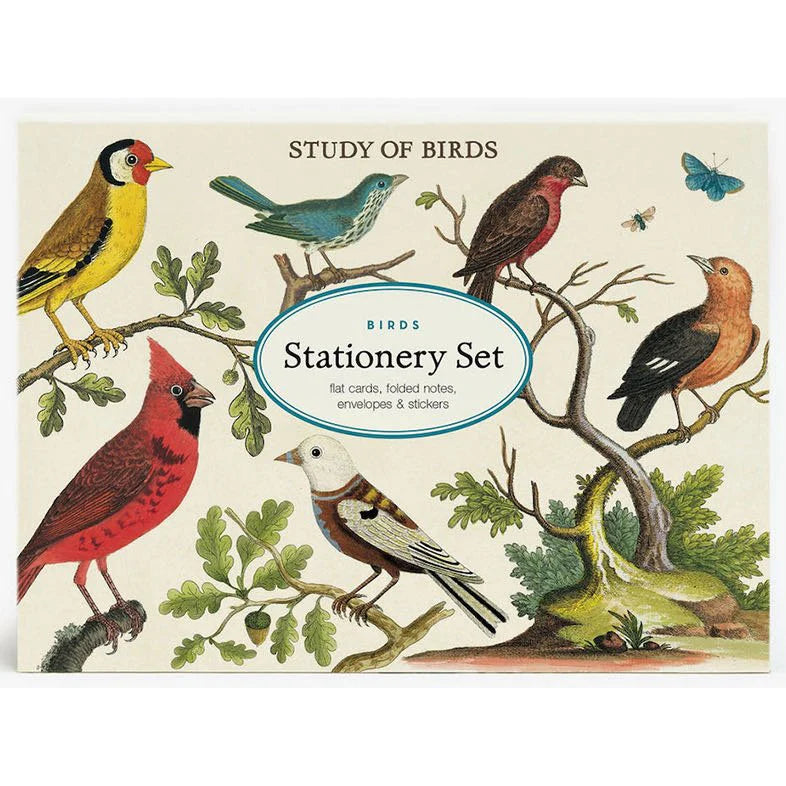 Stationary Set - Study Of Birds