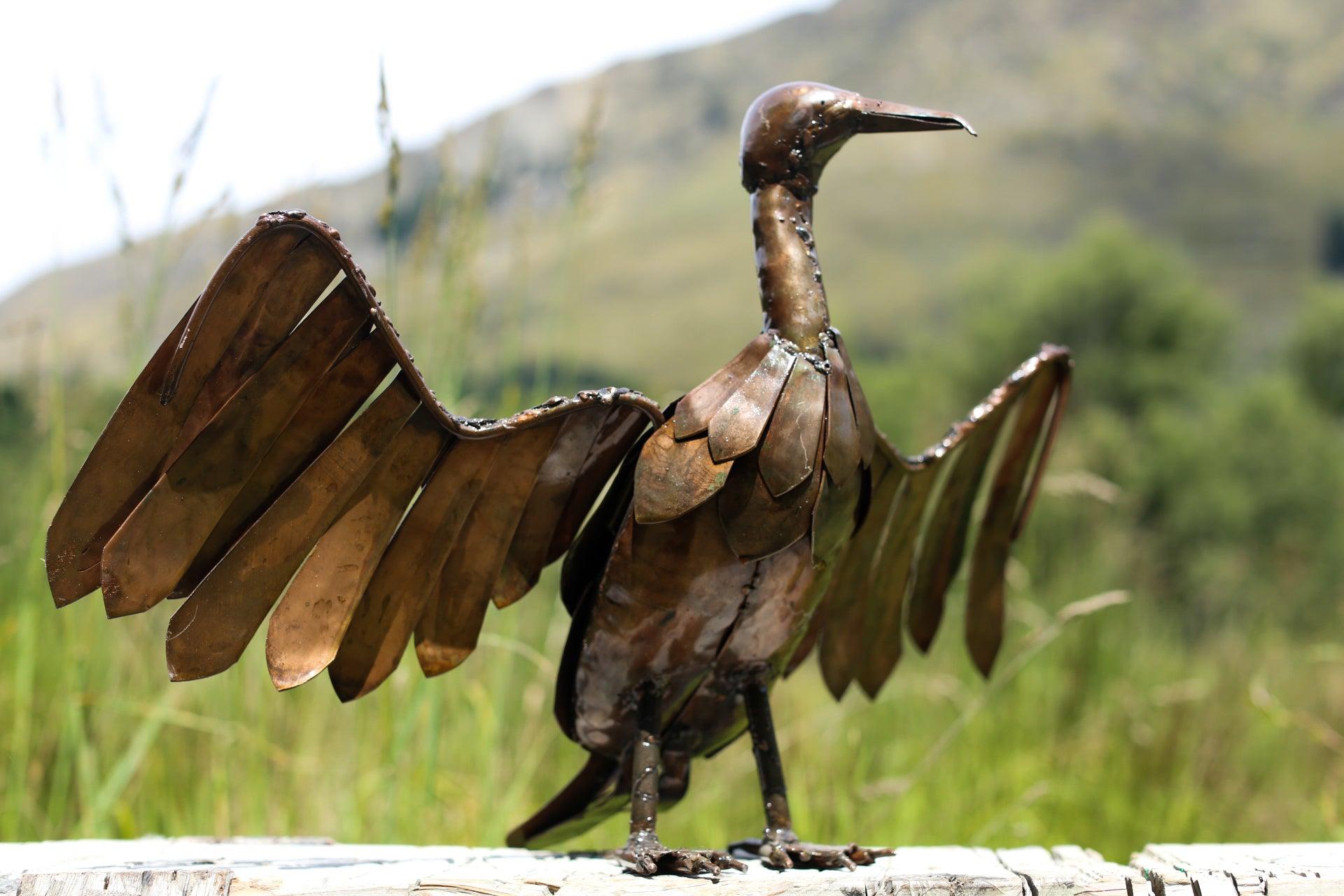 Common Cormorant or Shag