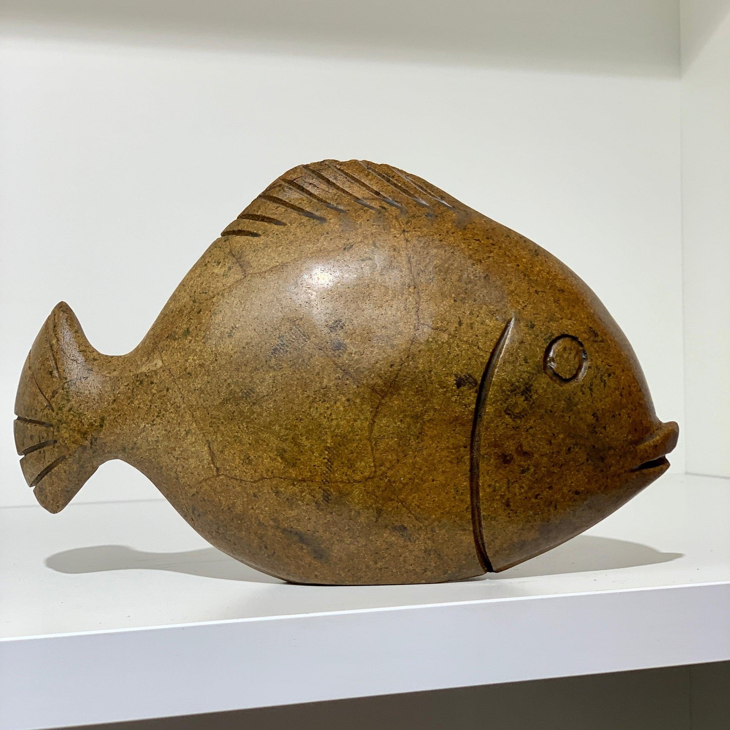 Stone Fish