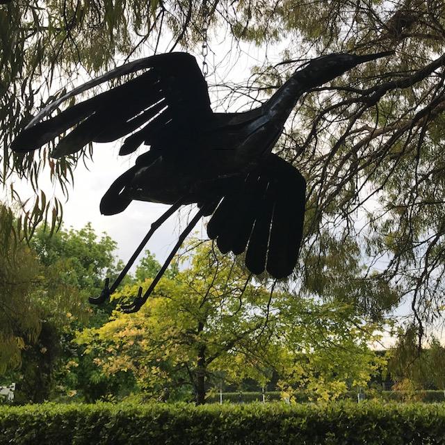 Egret - Flying