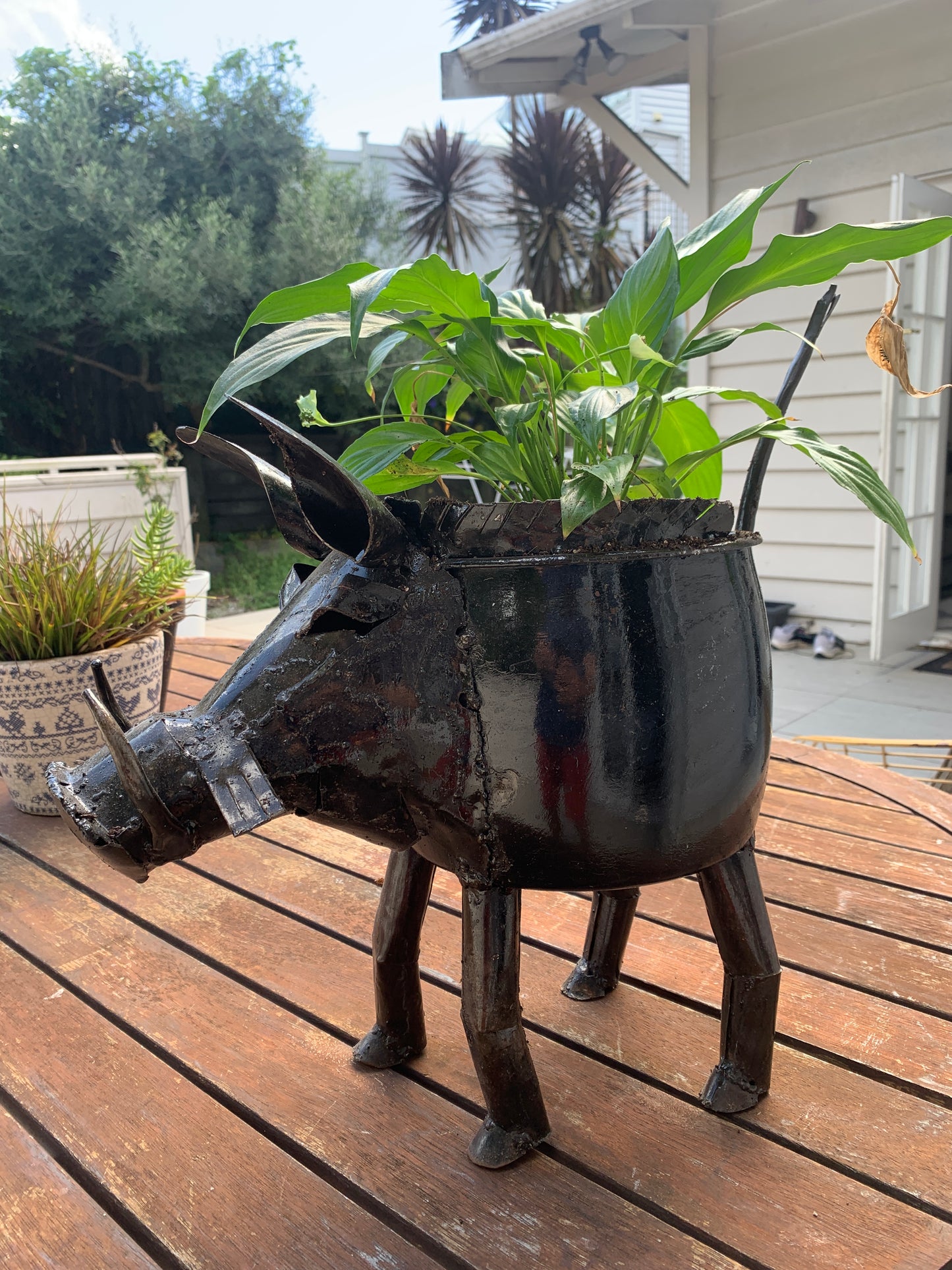 Warthog Plant Pot