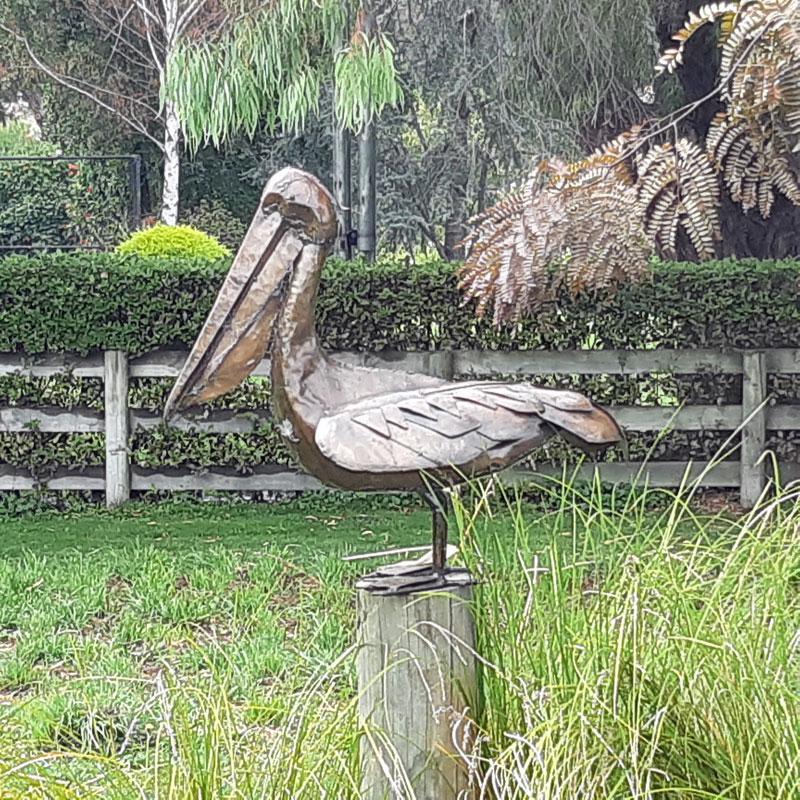 Pelican