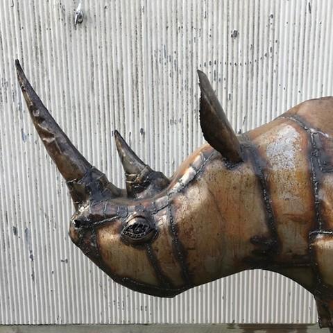 Life Size Rhinoceros