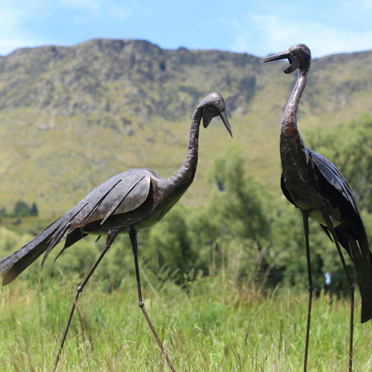 Birdwoods Wattled Cranes